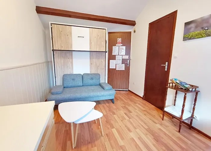 公寓 Des Jardins, Wifi, Centre Luchon *